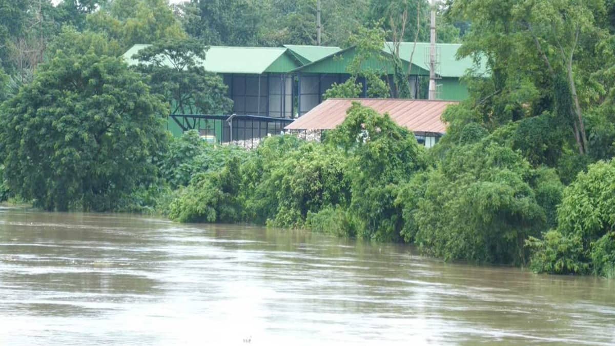Assam Floods: Death Toll Rises to 98 as State Battles Severe Deluge