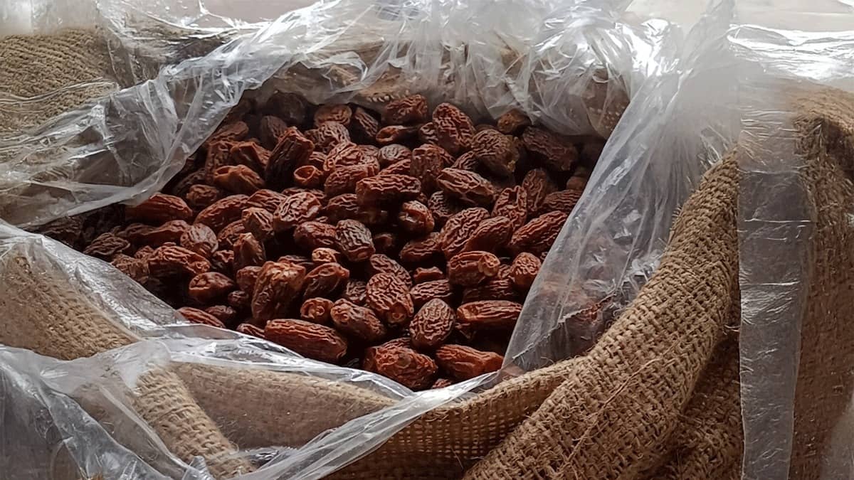 DRI Seizes 364 MT of Pakistan-Origin Dry Dates Worth Rs 3 Crore Routed Via UAE