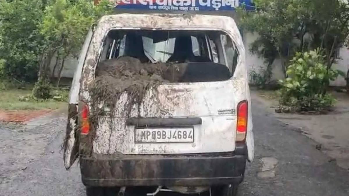 MP: 9 Died, 2 Rescued After Car Swept Away in Overflowing Drain in Rajgarh