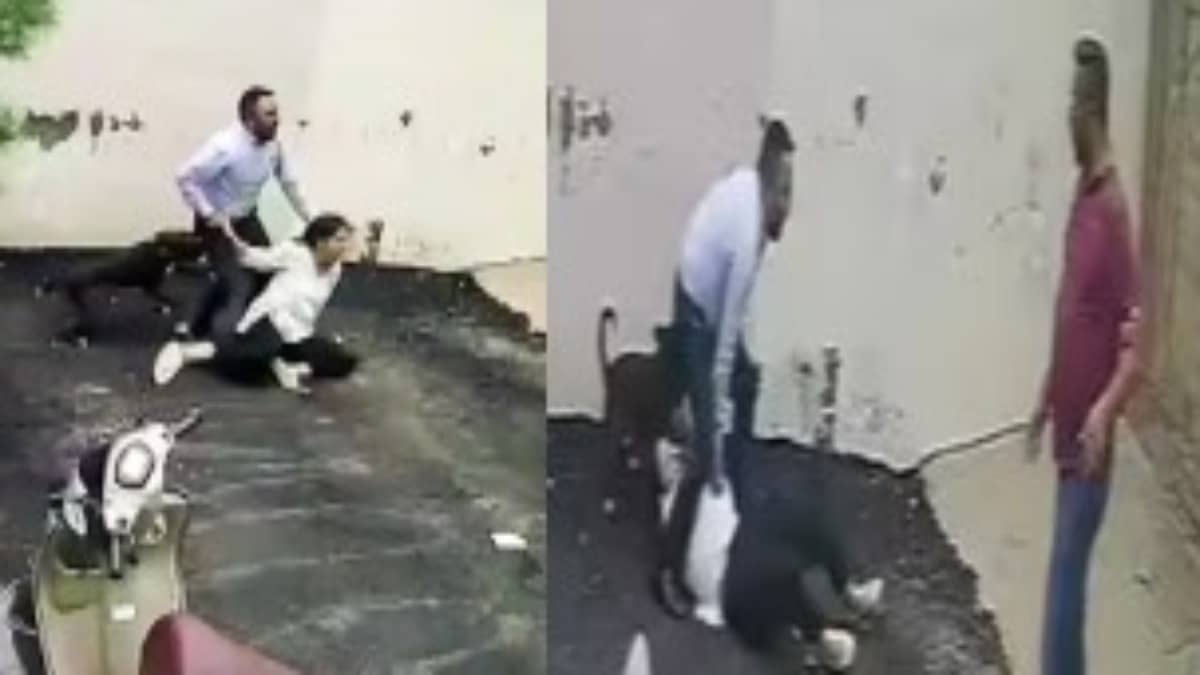 Pitbull Attacks Patiala Couple While Viewing Rental Home, Woman Undergoes Plastic Surgery