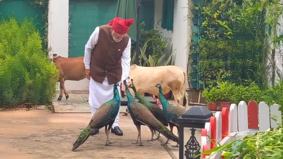 ‘They Came to Meet Me’: PM Modi Shares Heartwarming Pre-Independence Day Moment with ‘Friends’